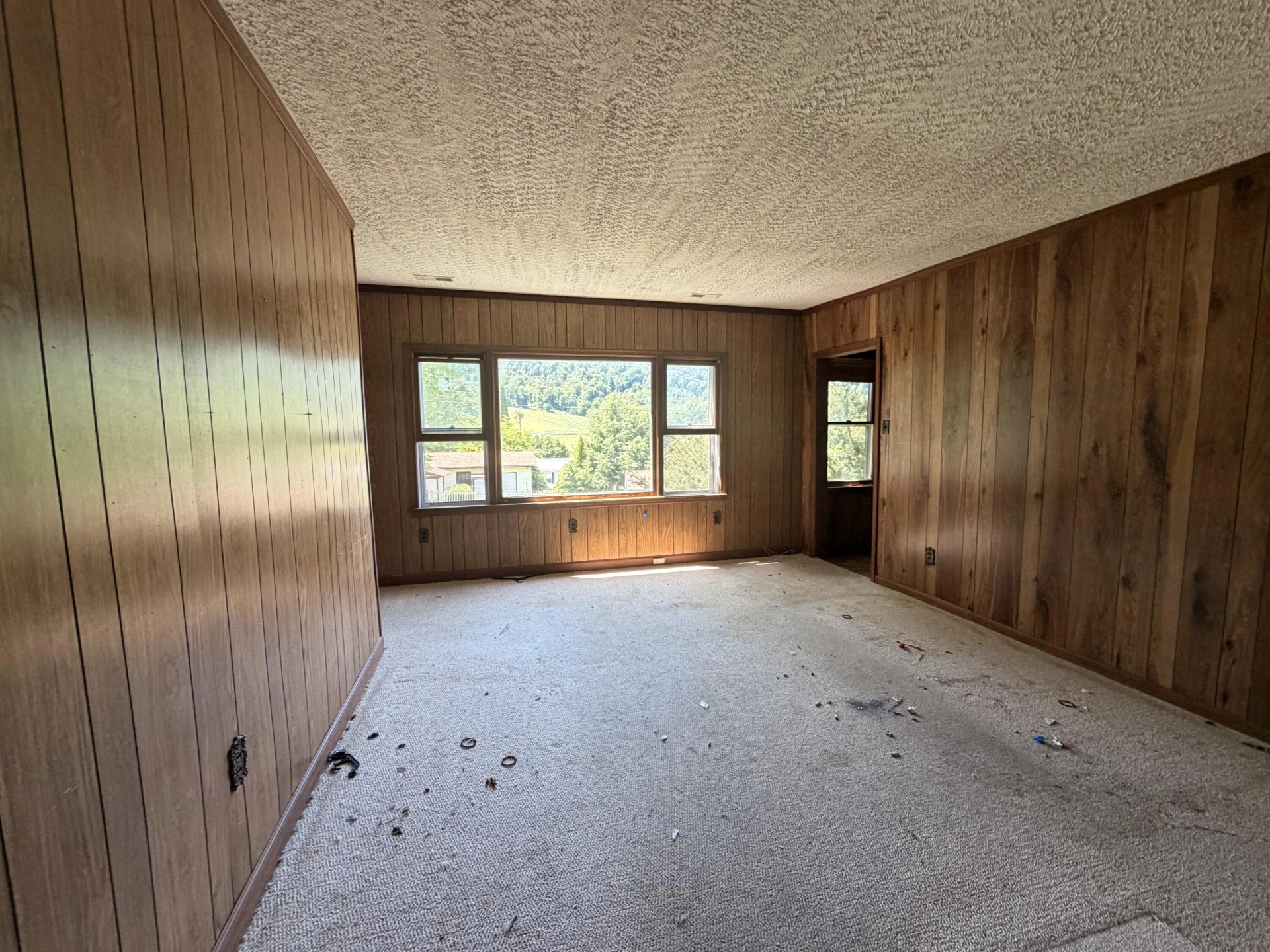 25 DOE VALLEY TRL - Photo 10