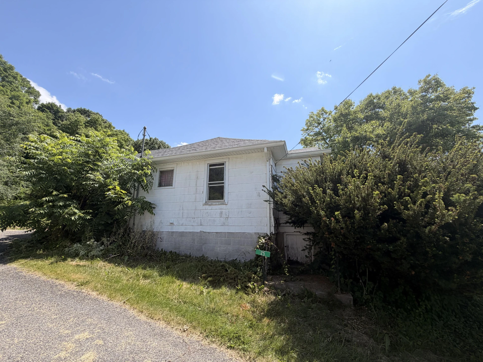 25 DOE VALLEY TRL - Photo 3