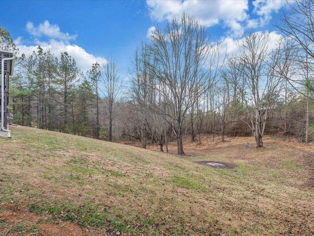 3559 County Line RD - Photo 31