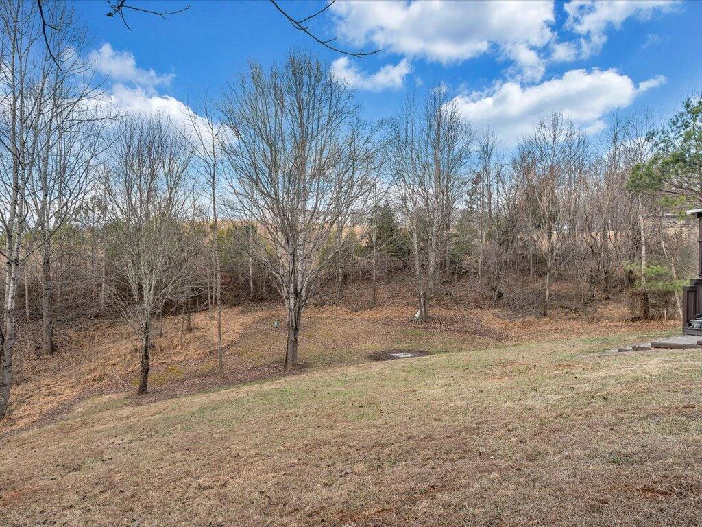 3559 County Line RD - Photo 35