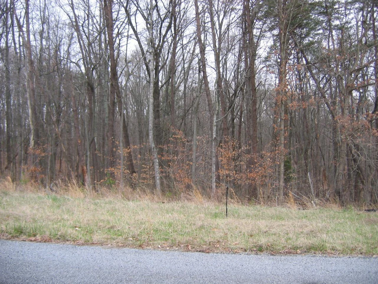 Lot 41 Sassafras CT - Photo 3