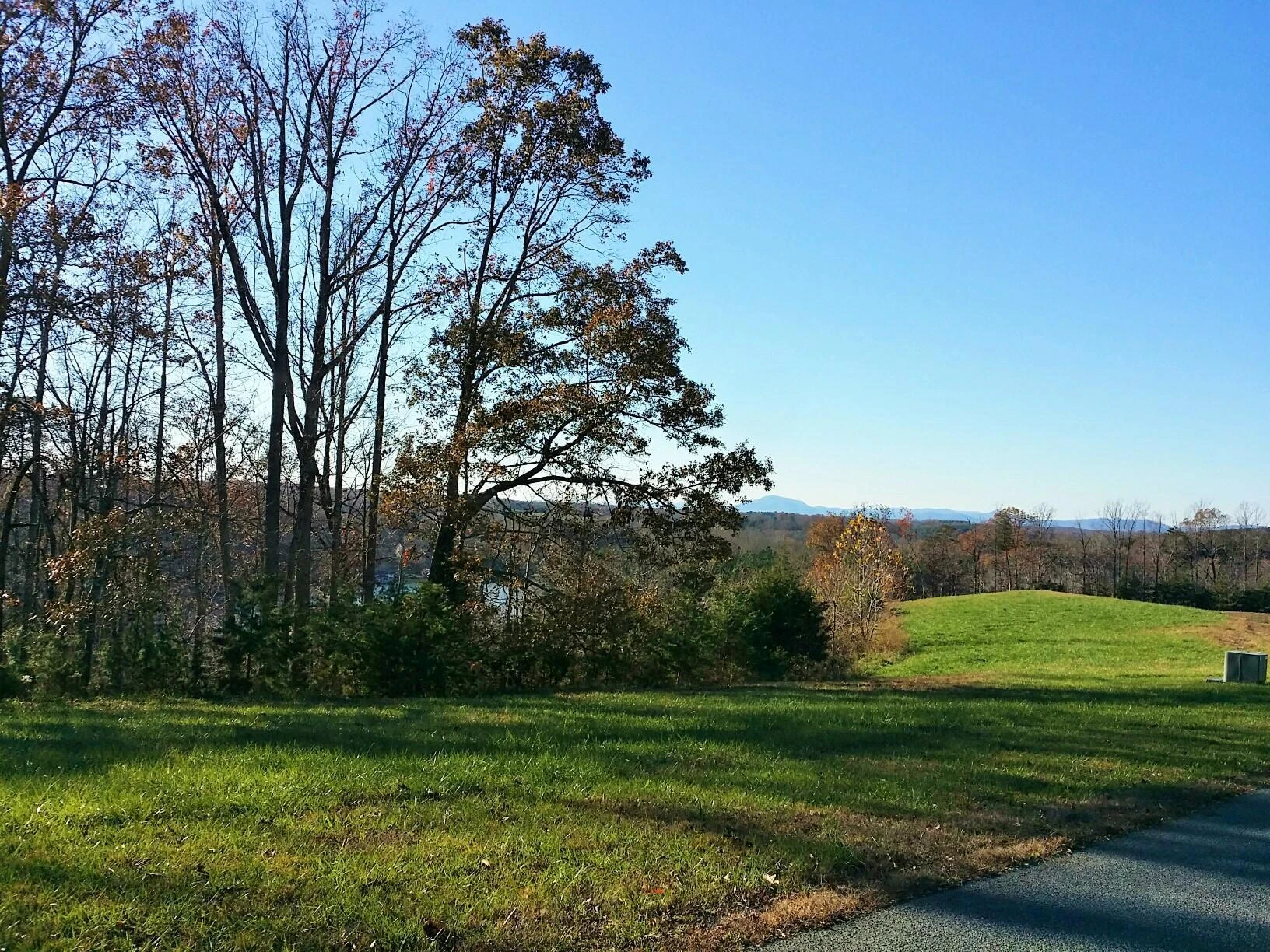 Lot 41 Sassafras CT - Photo 4
