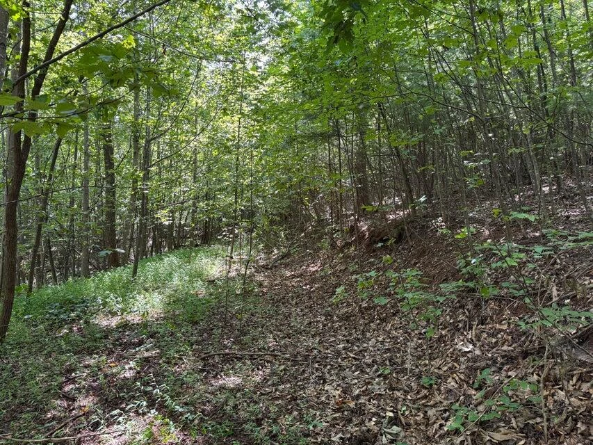 100 Foothills RD - Photo 2