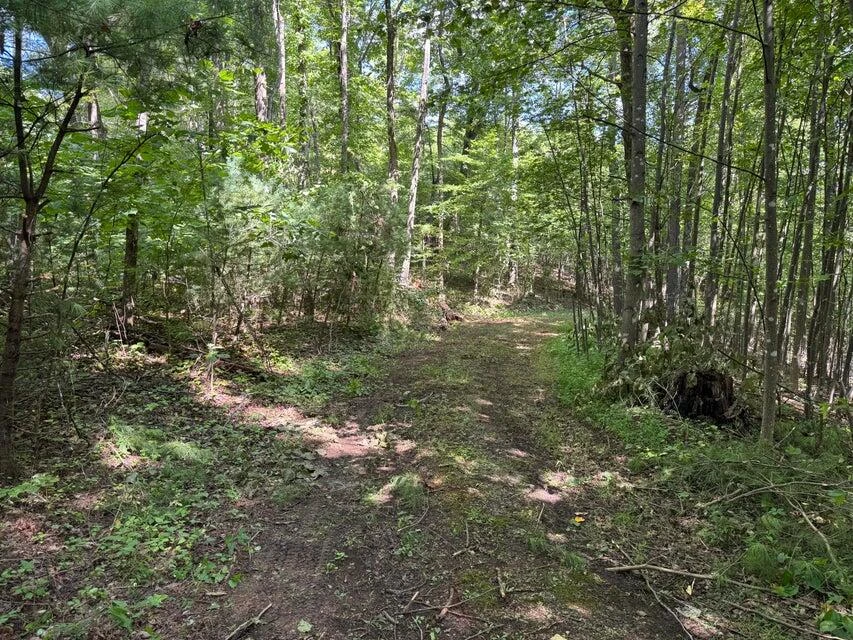 100 Foothills RD - Photo 3