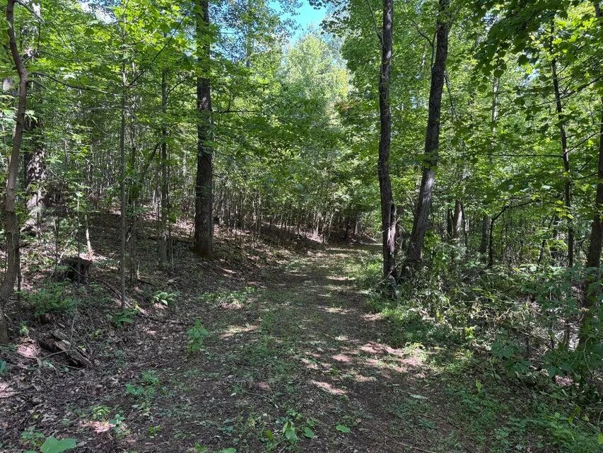 100 Foothills RD - Photo 4