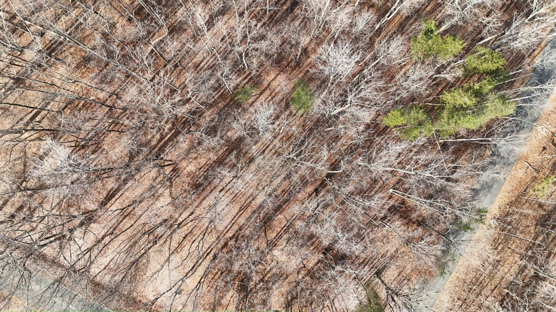 LOT 10 BINNACLE DR - Photo 10