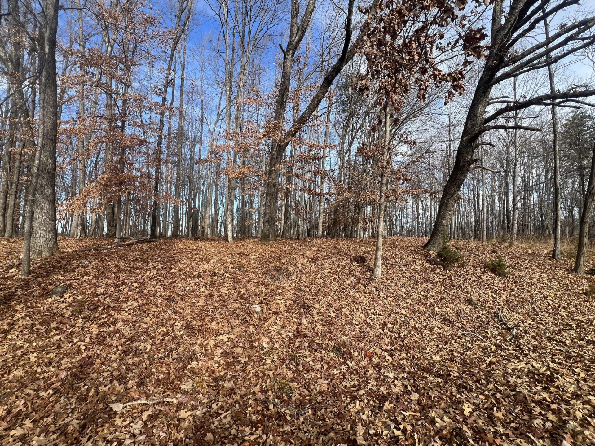 LOT 10 BINNACLE DR - Photo 3
