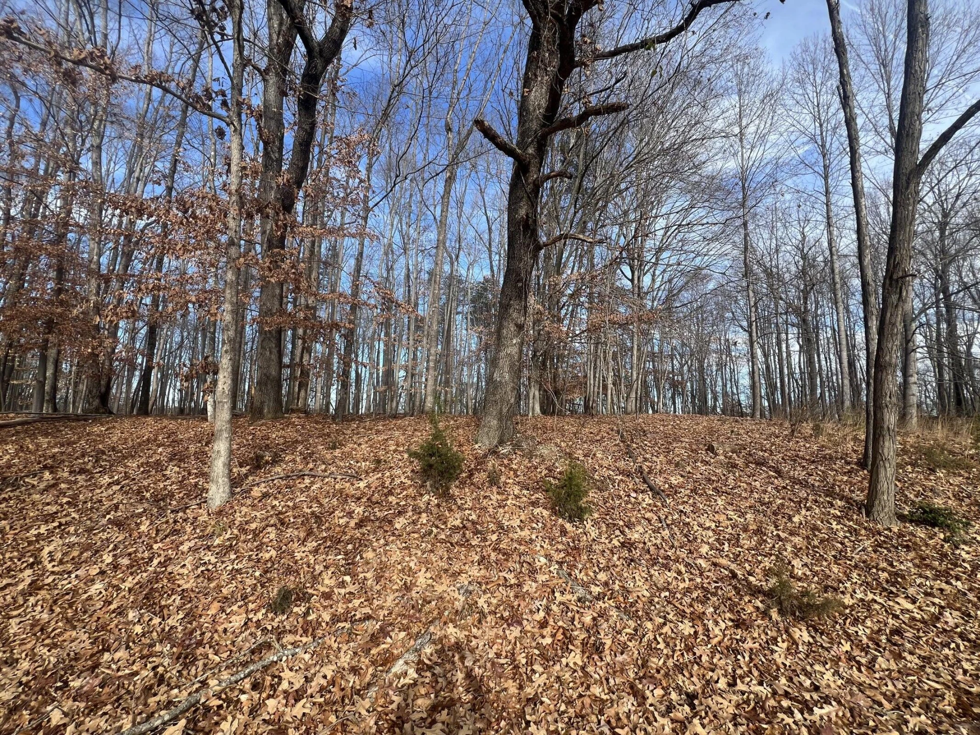 LOT 10 BINNACLE DR - Photo 4