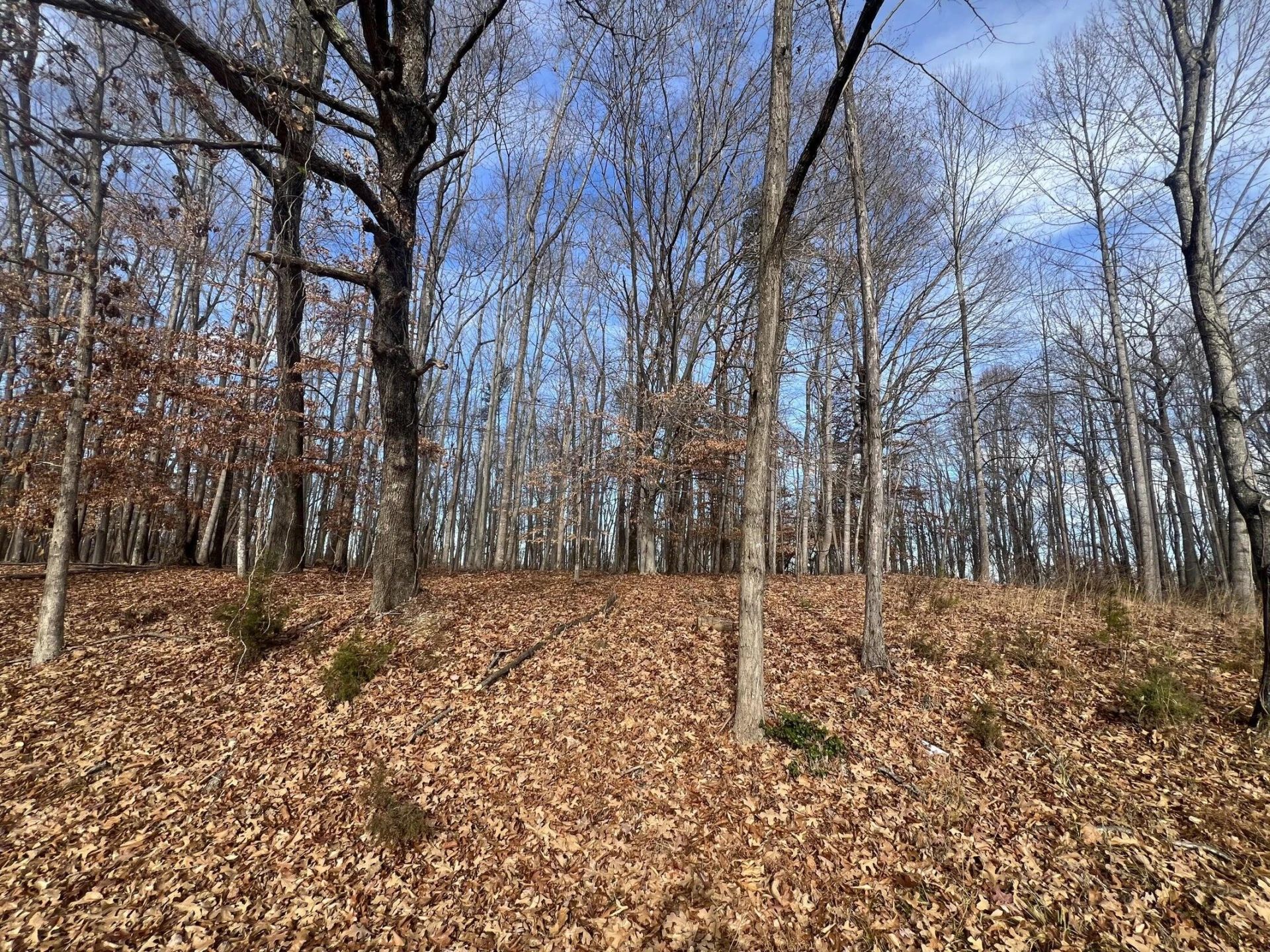 LOT 10 BINNACLE DR - Photo 5