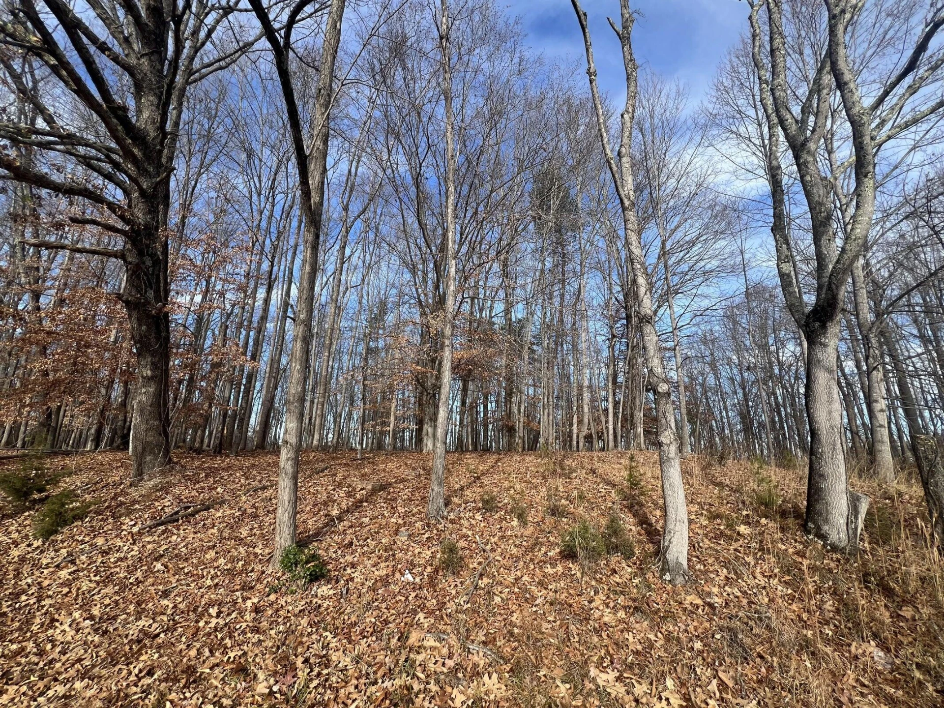 LOT 10 BINNACLE DR - Photo 6