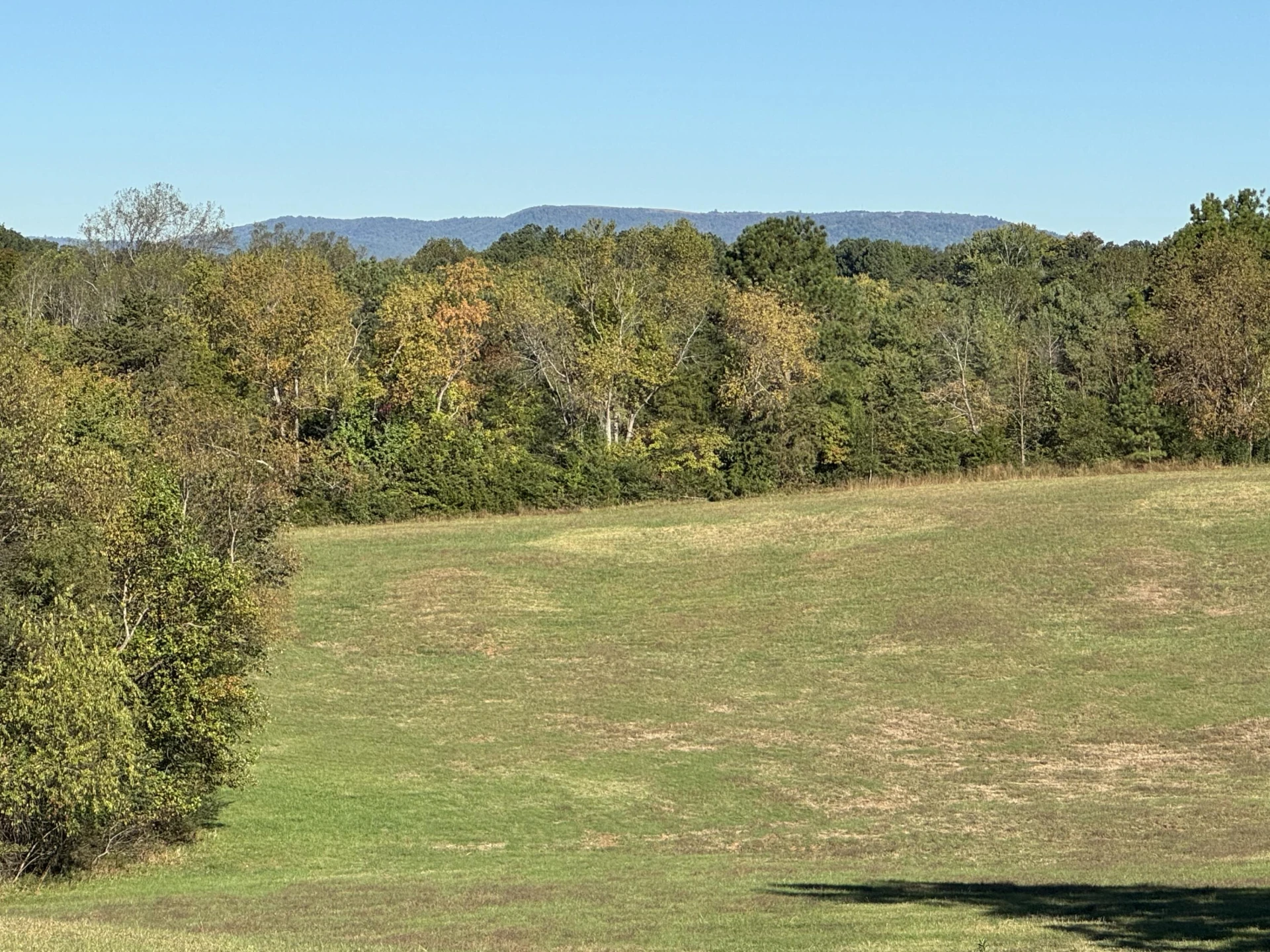 6249 Joppa Mill RD - Photo 53