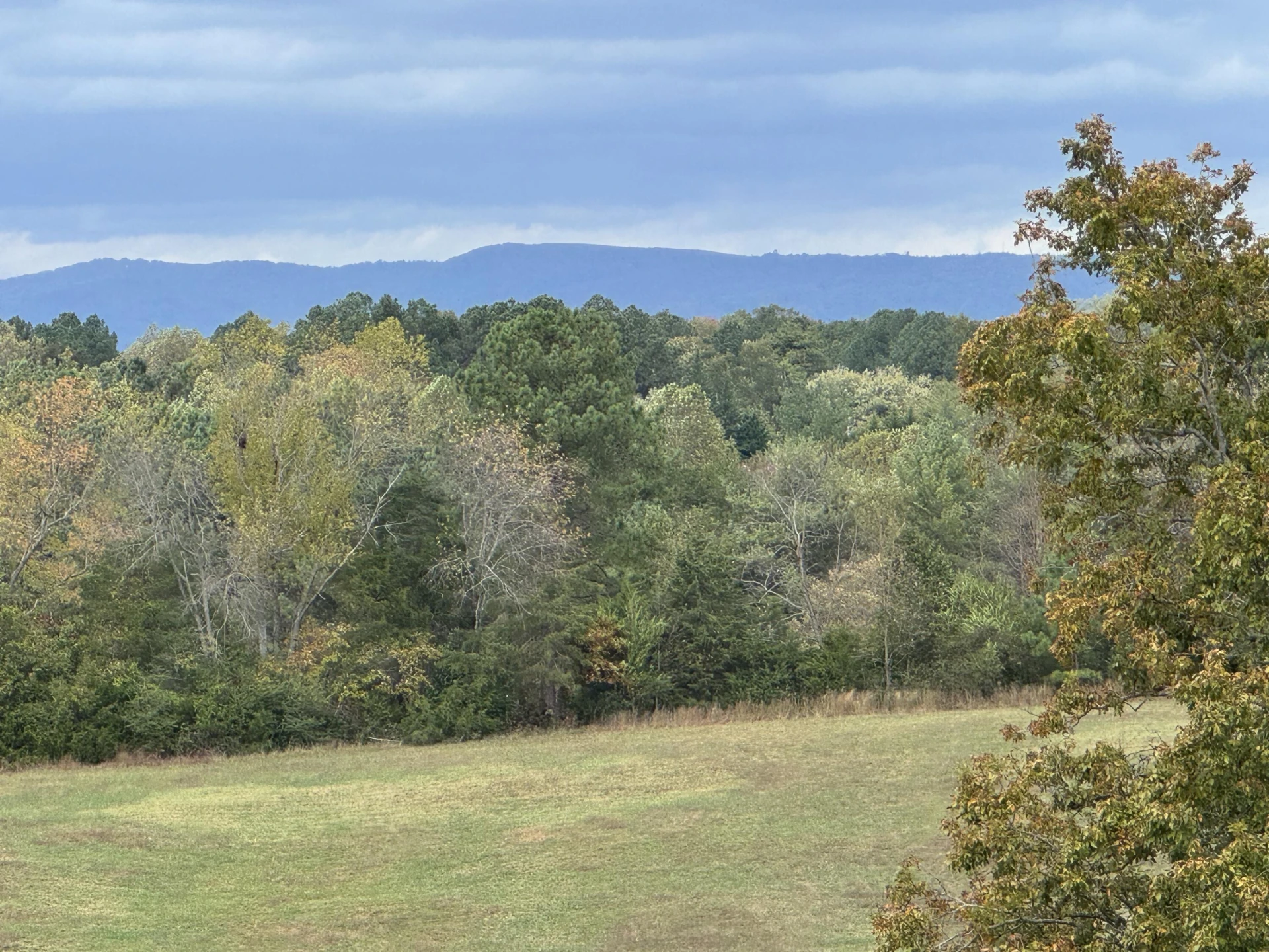 6249 Joppa Mill RD - Photo 54
