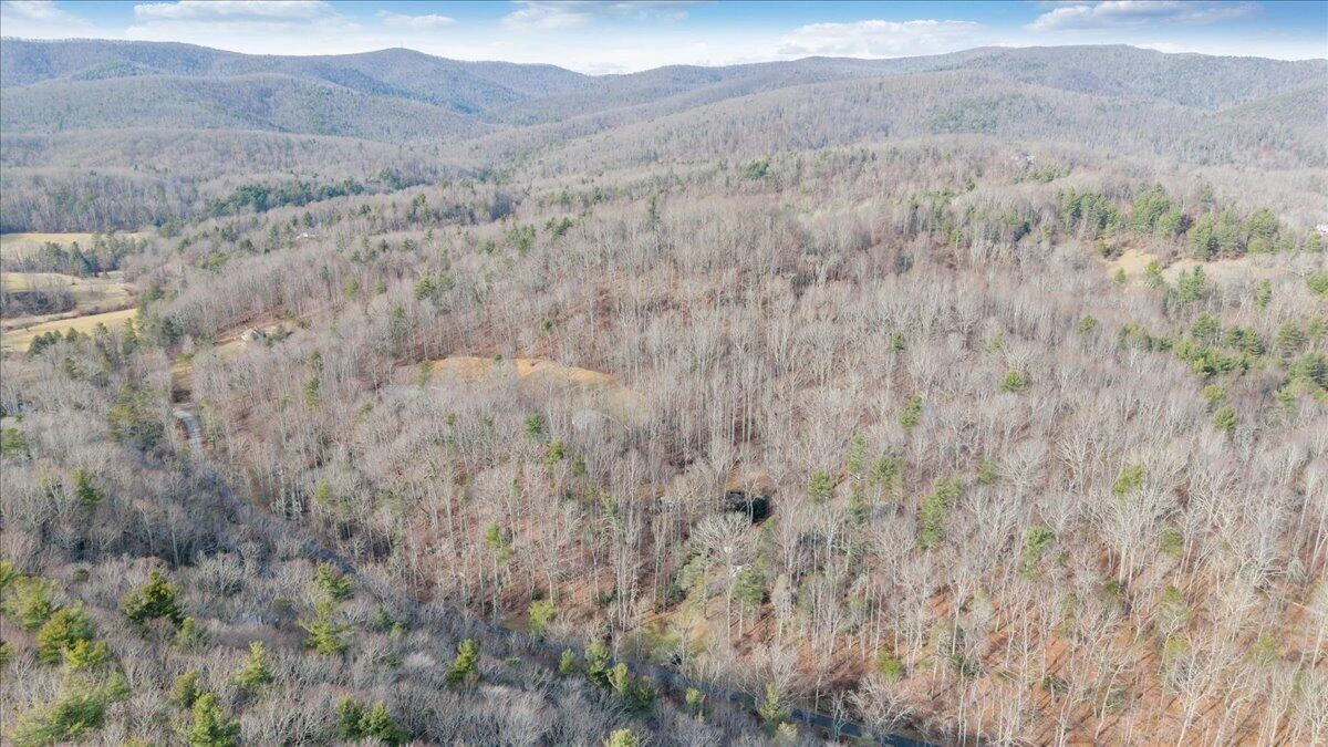 1203 Bottom Creek LN - Photo 36