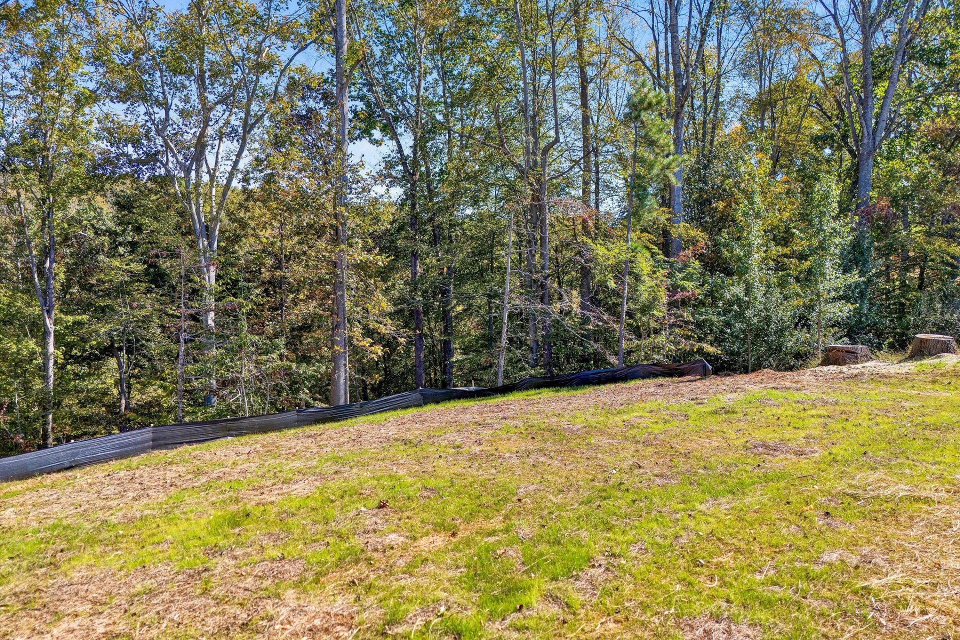 200 Cambridge CT - Photo 43