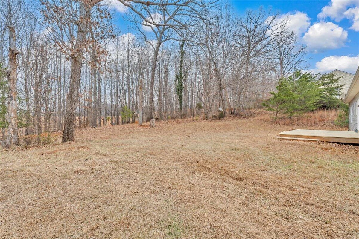 4716 Meadors Spur RD - Photo 41