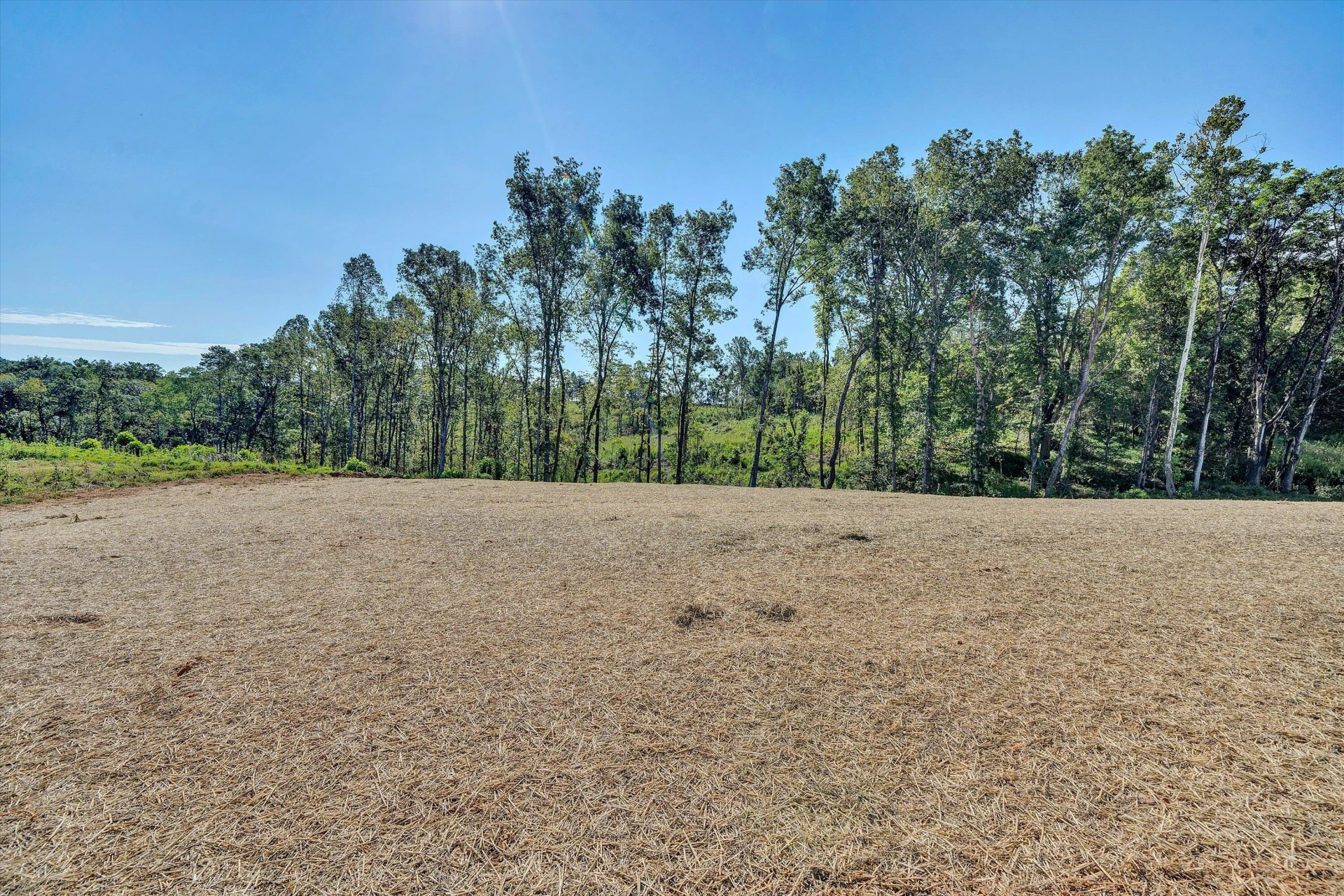 1884 Skinnell Mill RD - Photo 38
