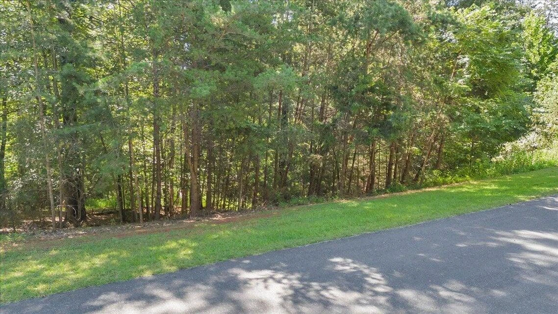 0 Bridgewater LN - Photo 29