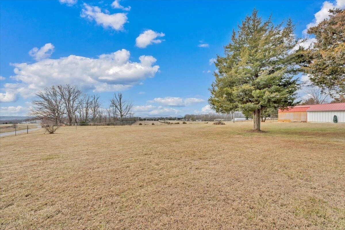 1421 Mob Creek RD - Photo 33