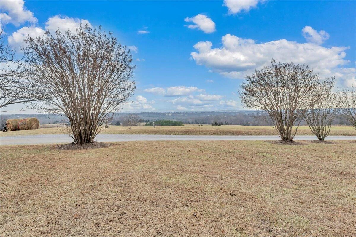 1421 Mob Creek RD - Photo 44