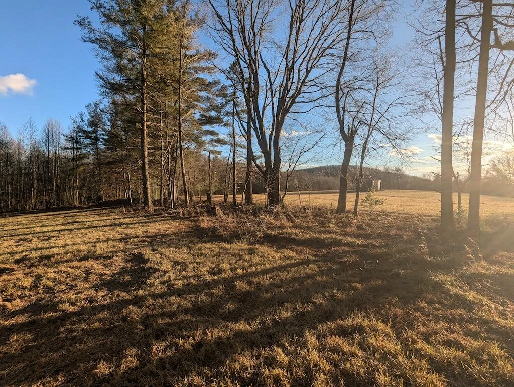 TBD Long Mountain RD SW - Photo 16