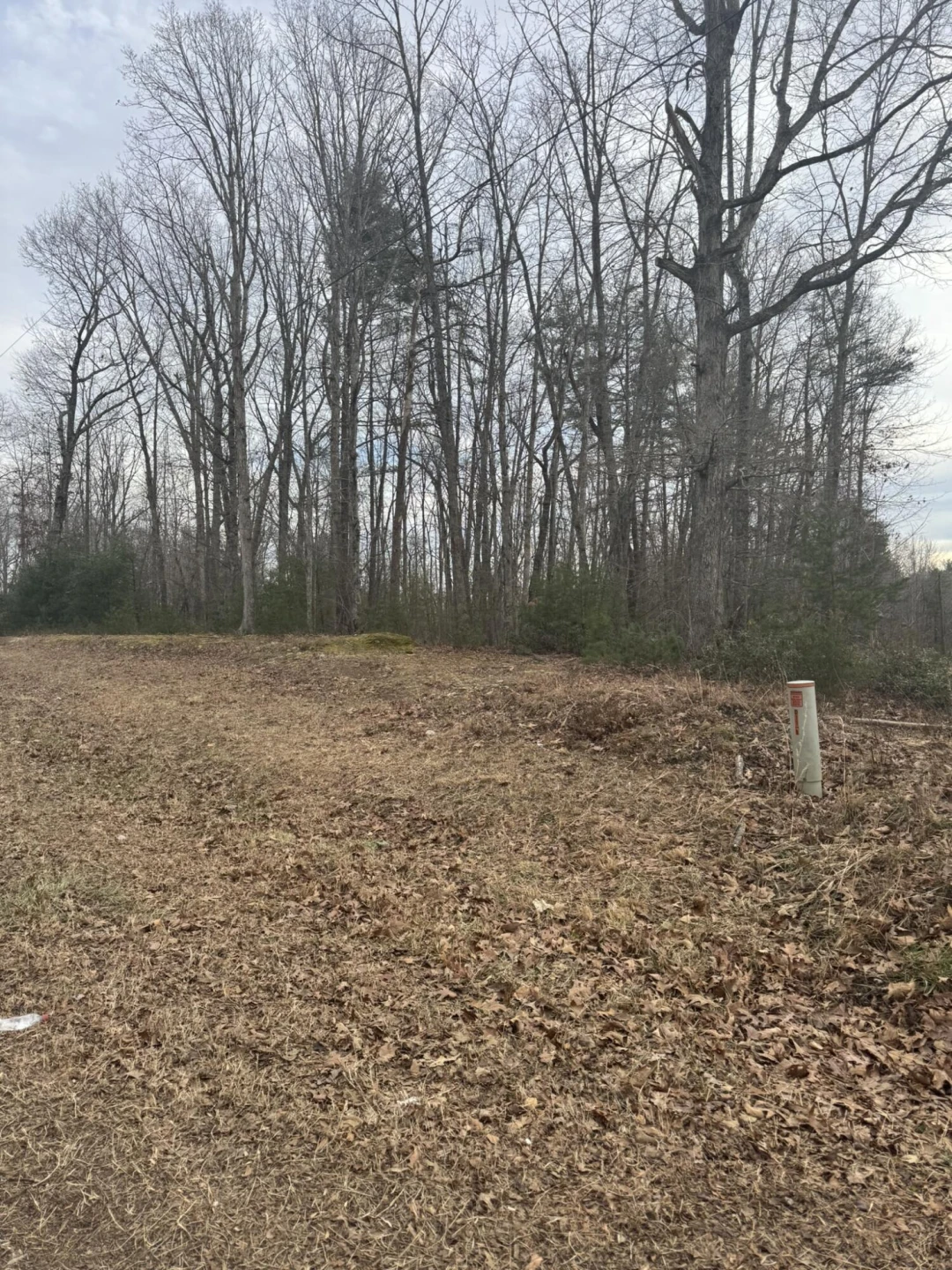 00 Henry RD - Photo 3
