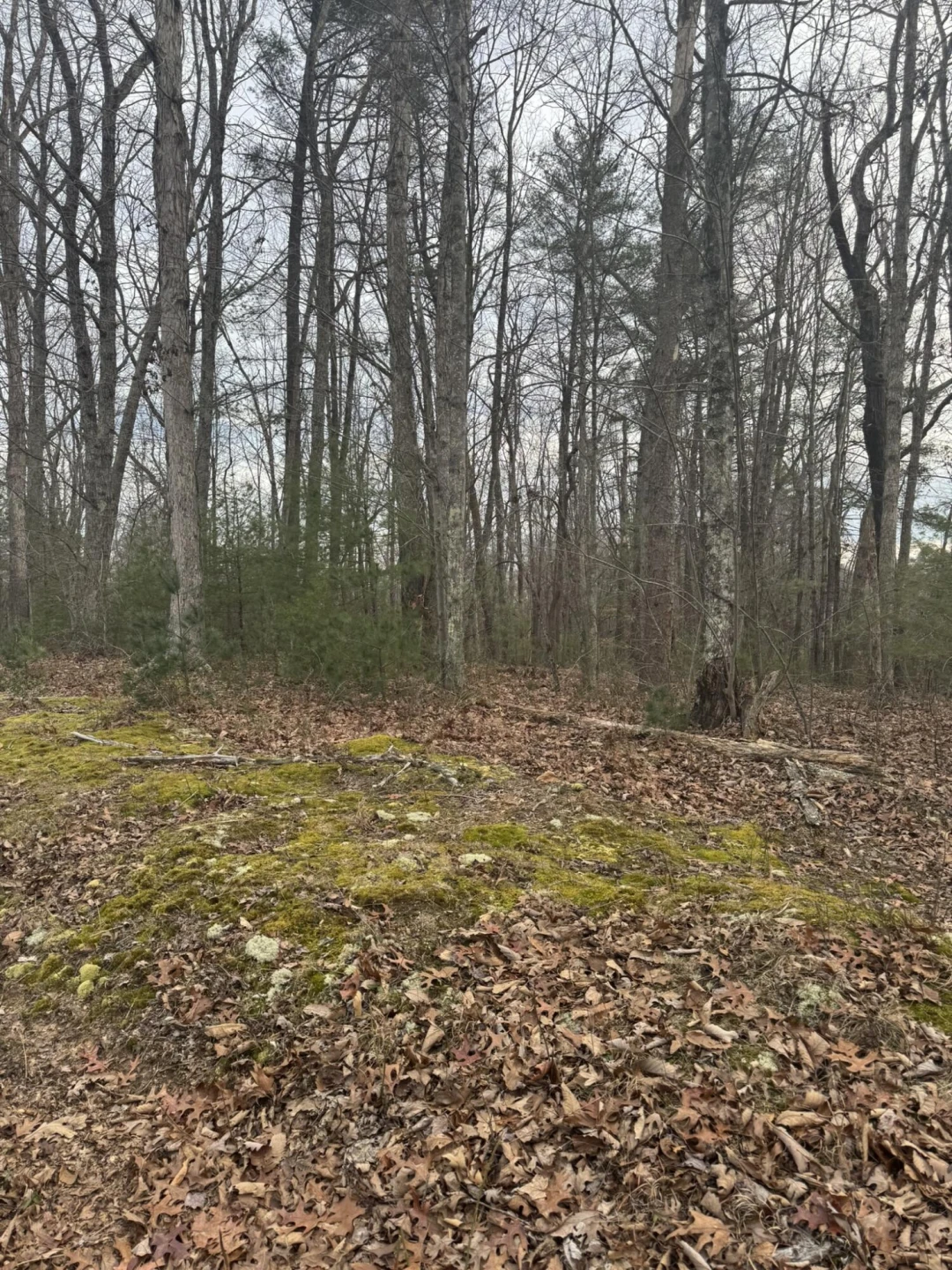 00 Henry RD - Photo 4