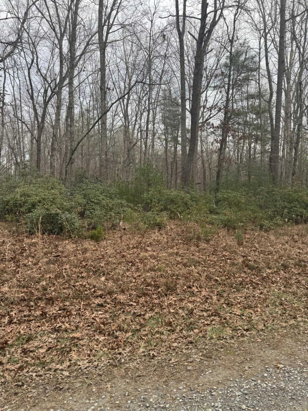00 Henry RD - Photo 6