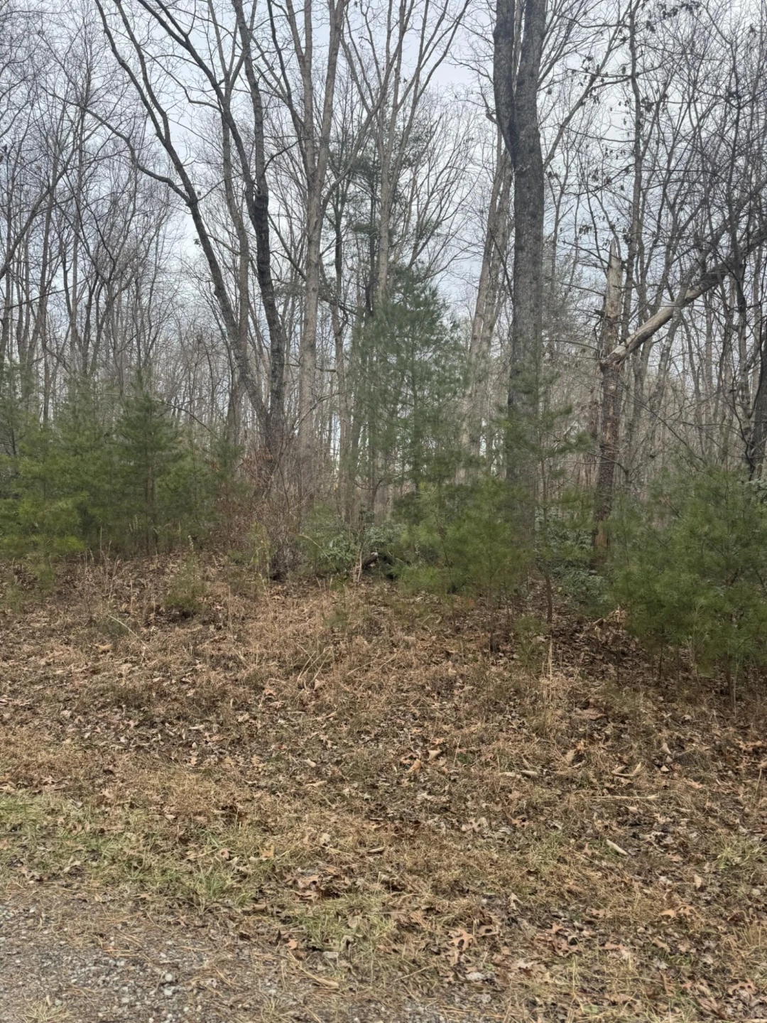 00 Henry RD - Photo 7
