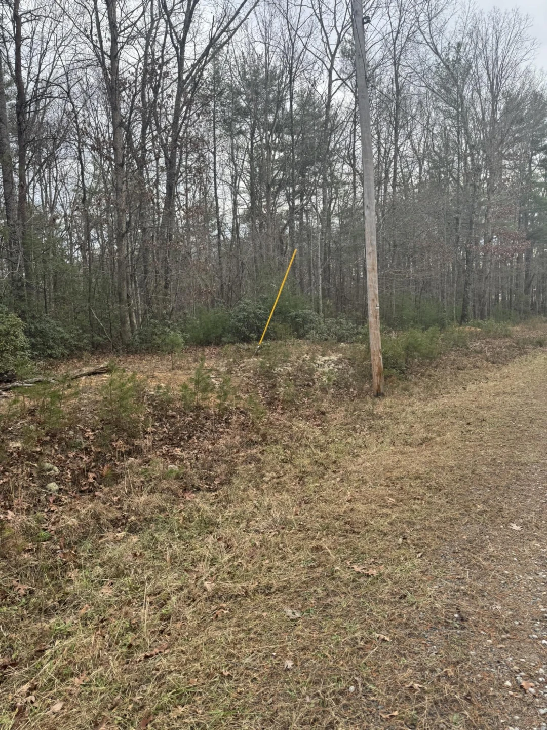 00 Henry RD - Photo 9