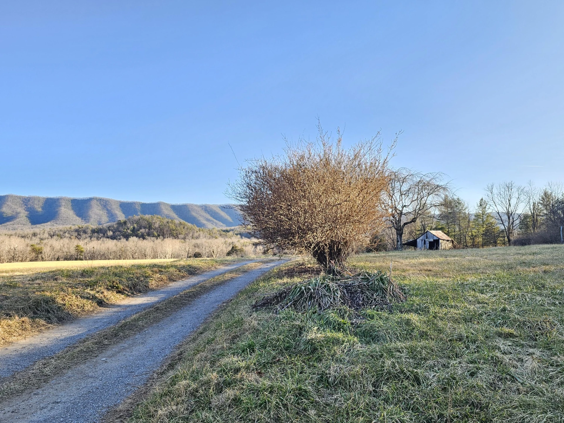 5106 Craig Valley DR - Photo 3