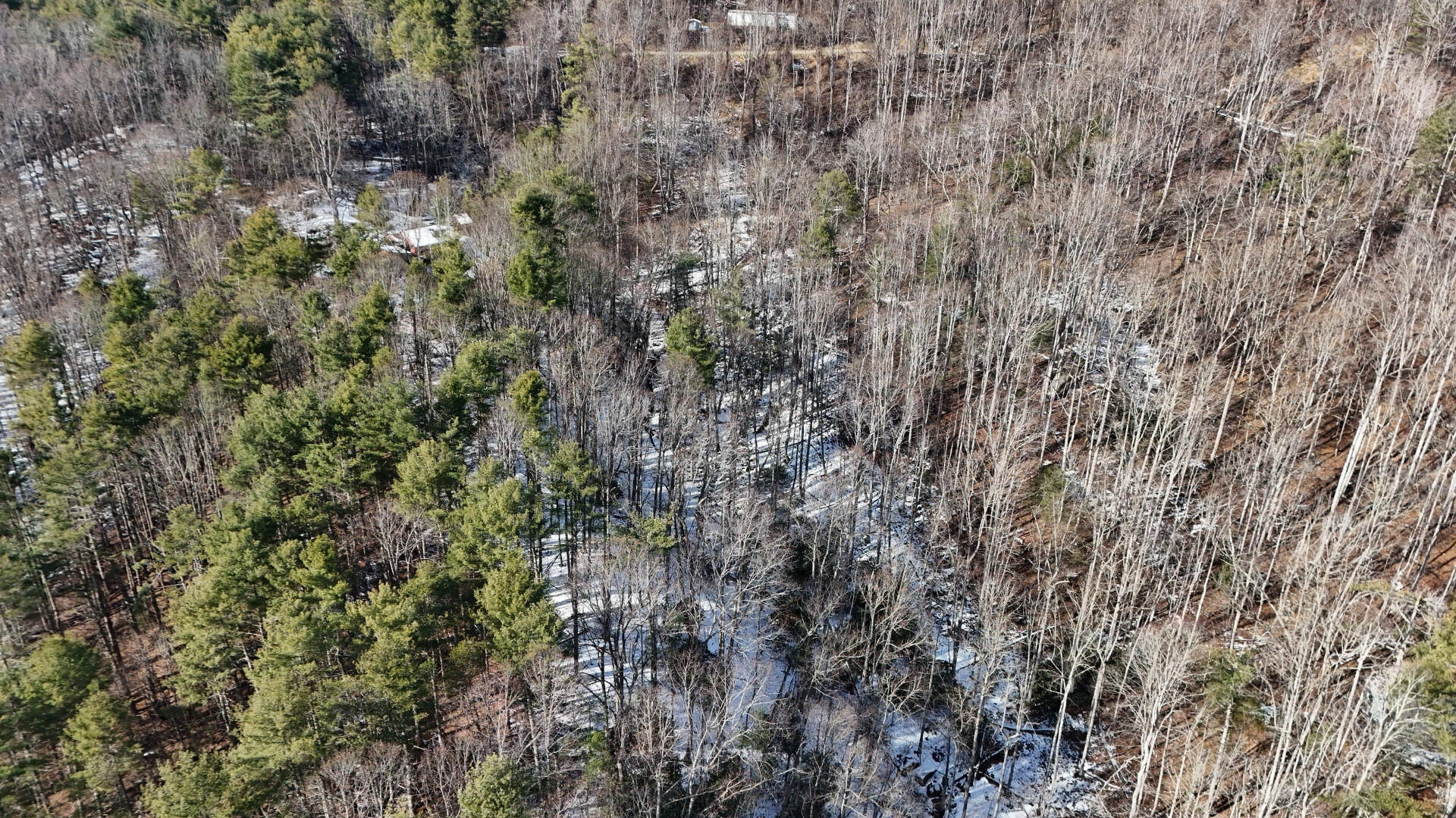 TBD Sugar Run RD NE - Photo 11