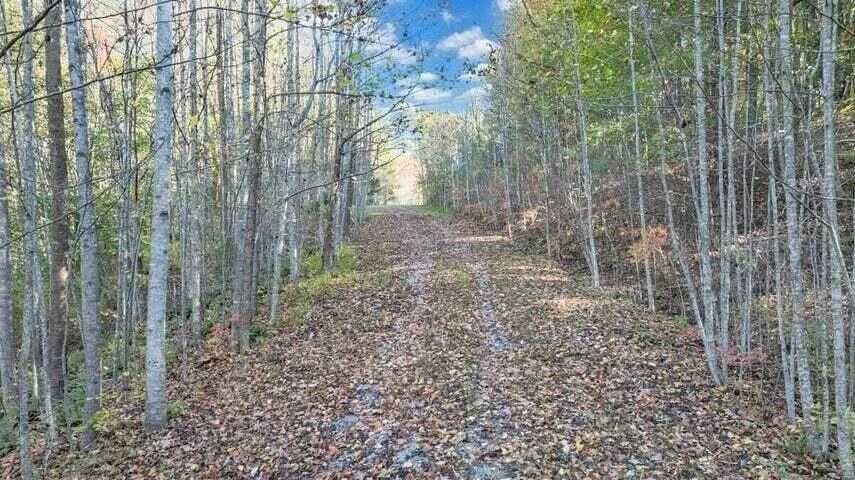 0 Six Mile Post RD - Photo 6