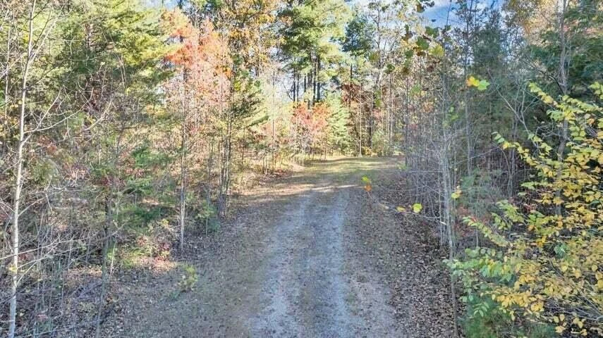 0 Six Mile Post RD - Photo 64