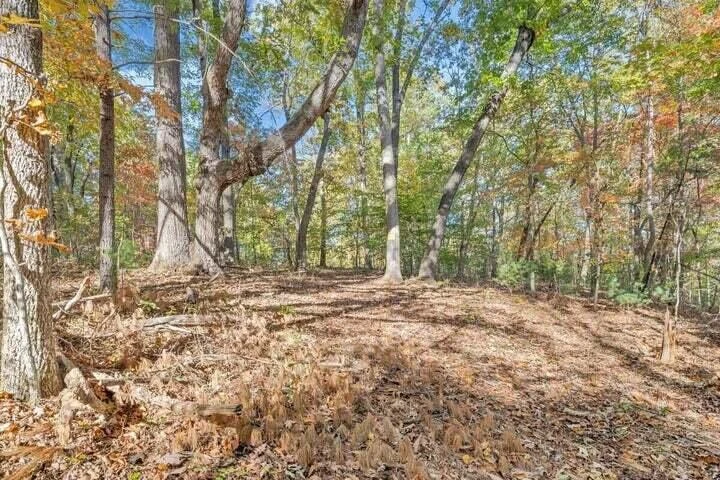 0 Six Mile Post RD - Photo 72