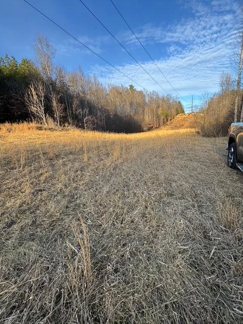 0 Jones Mill Lane - Photo 11
