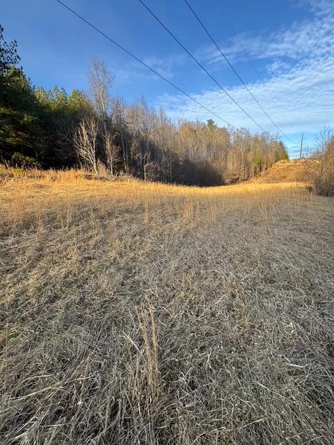 0 Jones Mill Lane - Photo 12