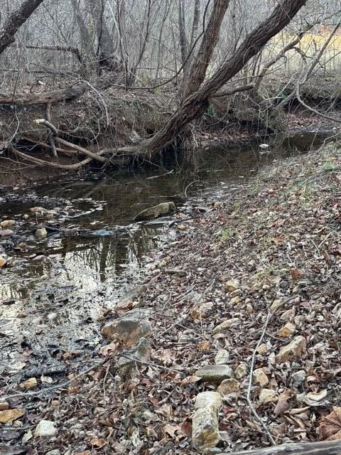 0 Jones Mill Lane - Photo 13