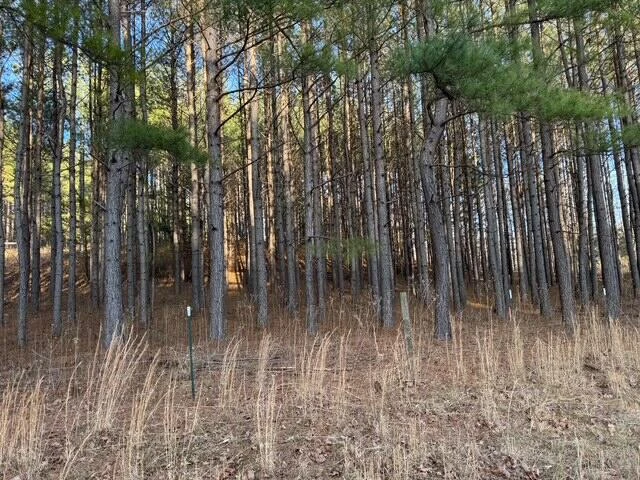 0 Jones Mill Lane - Photo 14