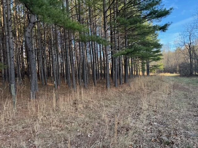0 Jones Mill Lane - Photo 15
