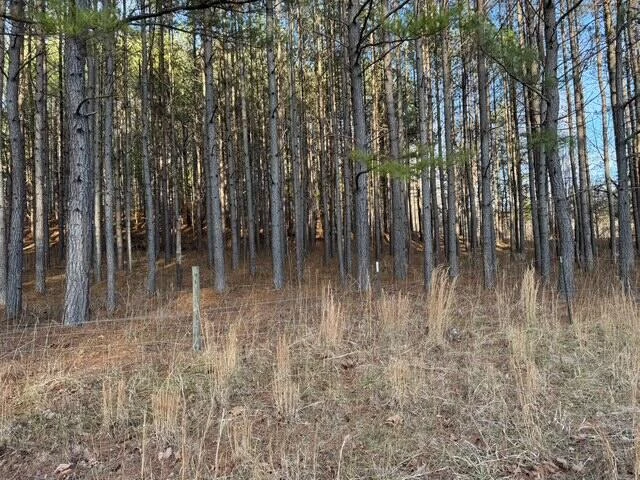 0 Jones Mill Lane - Photo 16