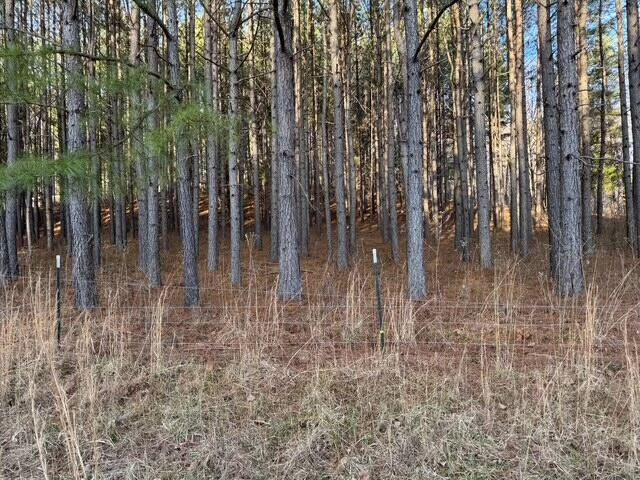 0 Jones Mill Lane - Photo 17