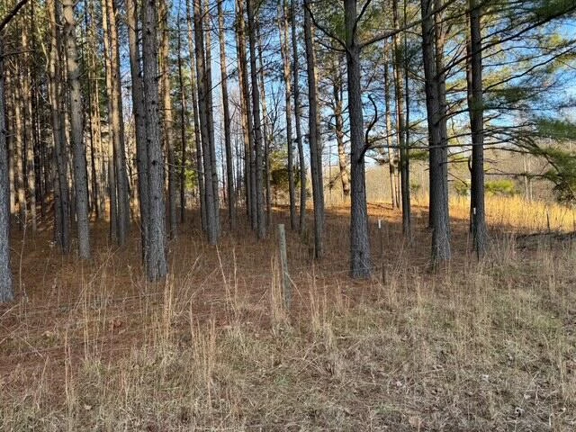 0 Jones Mill Lane - Photo 18