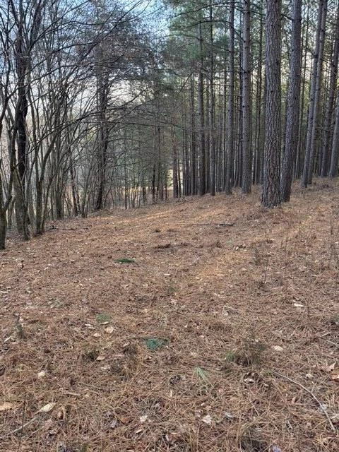 0 Jones Mill Lane - Photo 19