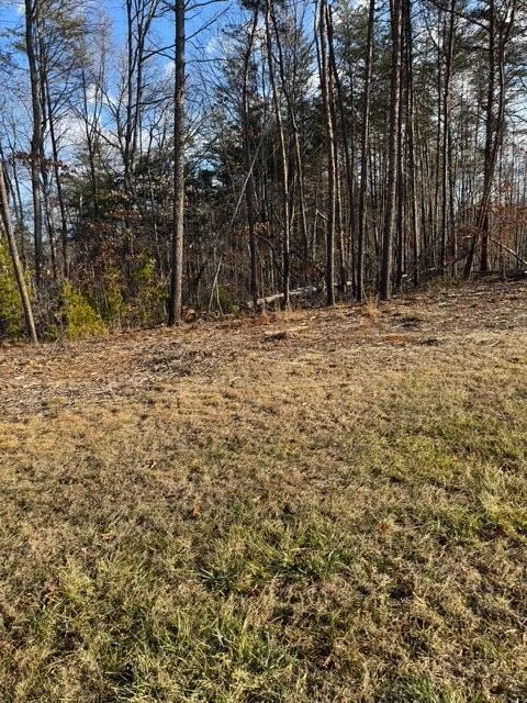 0 Jones Mill Lane - Photo 2