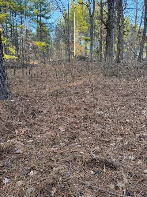 0 Jones Mill Lane - Photo 20