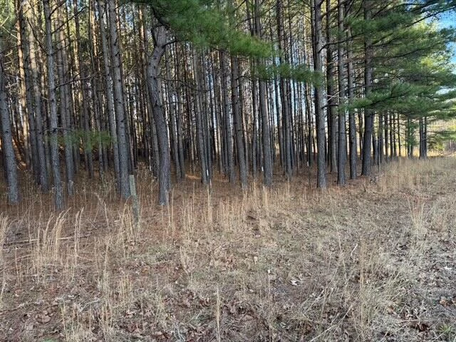 0 Jones Mill Lane - Photo 3