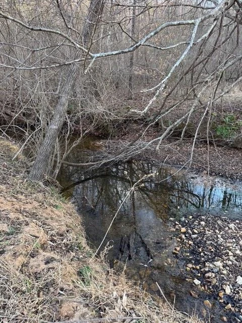 0 Jones Mill Lane - Photo 5