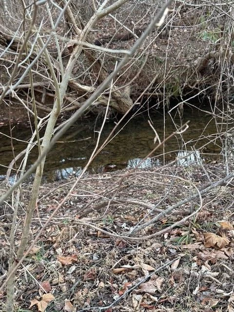0 Jones Mill Lane - Photo 6