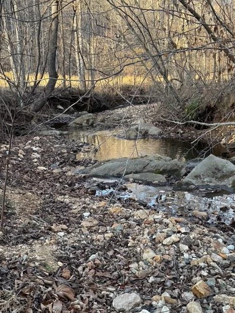 0 Jones Mill Lane - Photo 7