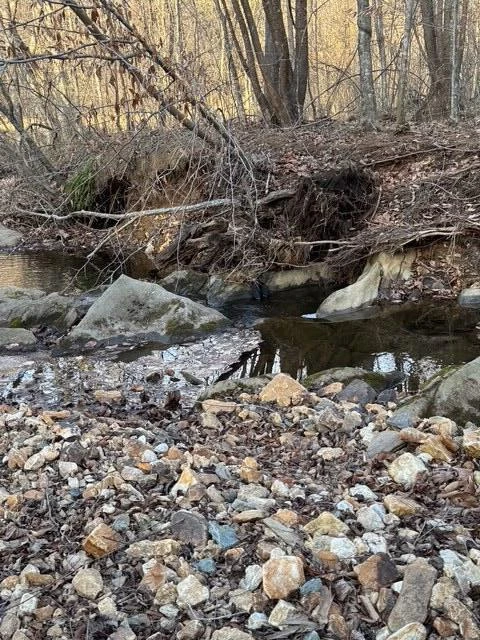 0 Jones Mill Lane - Photo 8